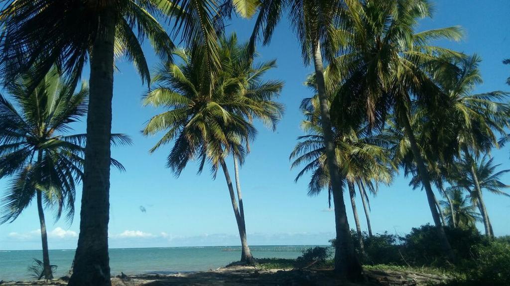 Pousada Vale Encantado São Miguel dos Milagres Exterior foto